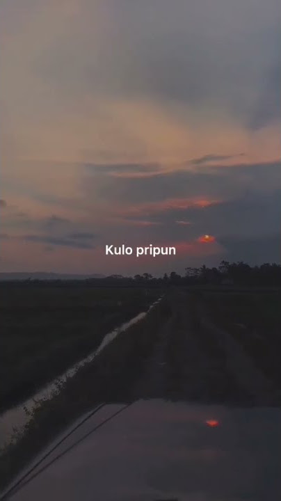 kata - kata bahasa jawa whatsapp viral