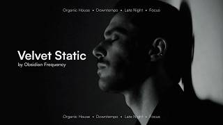 Velvet Static — Organic House for Deep Work | Obsidian Frequency