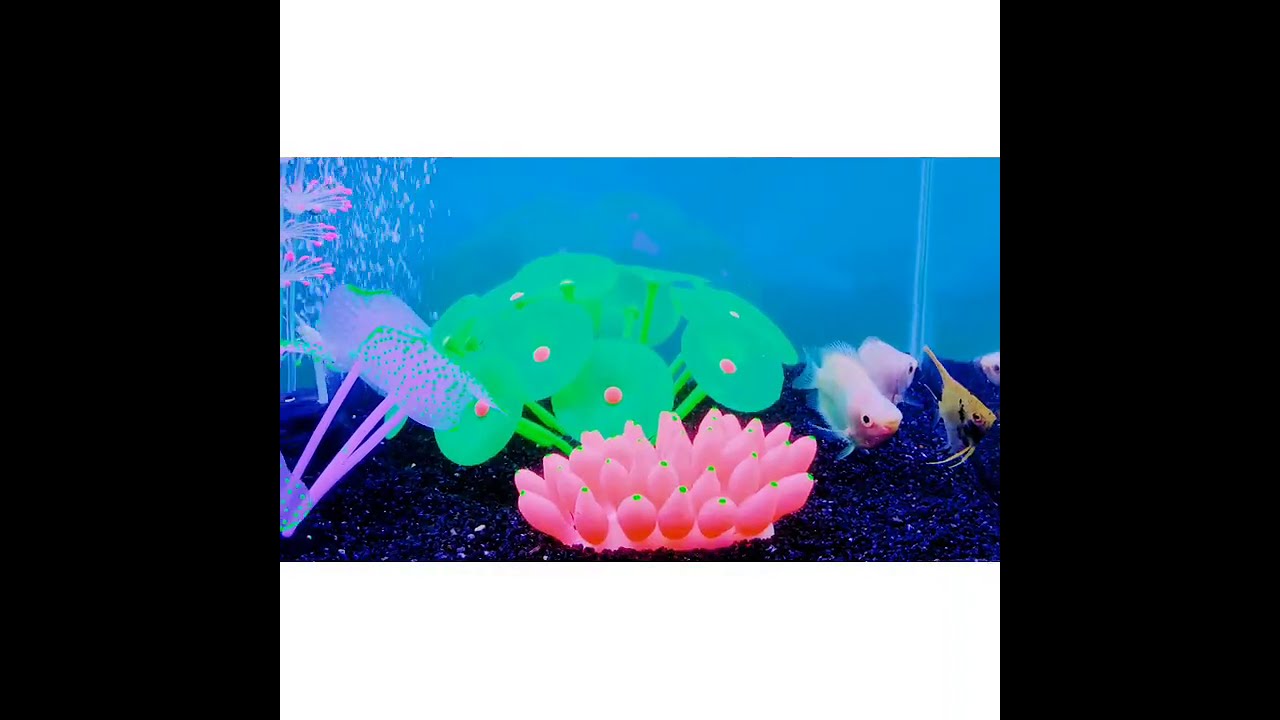 Glowing Silicone Simulation Corals 4 Pieces For Fish Tank