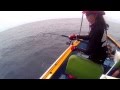 Smith amj 56m reel:Saltigs 4000 Wingo's amberjack