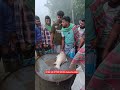 পদ্মা নদীর তরতাজা কাতলা মাছ || #bigfish #fish #fishing #reels #shorts #youtubeshorts