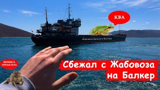 видео: С гнилого Жабовоза на Балкер/ 5000$ в месяц и обиженные жабы/ Работа в море/ Блог моряка часть 3:7 картинка: С гнилого Жабовоза на Балкер/ 5000$ в месяц и обиженные жабы/ Работа в море/ Блог моряка часть 3:7