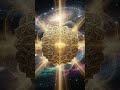 Activate the Wealth Code - Open All Doors of Abundance and Prosperity in the Universe