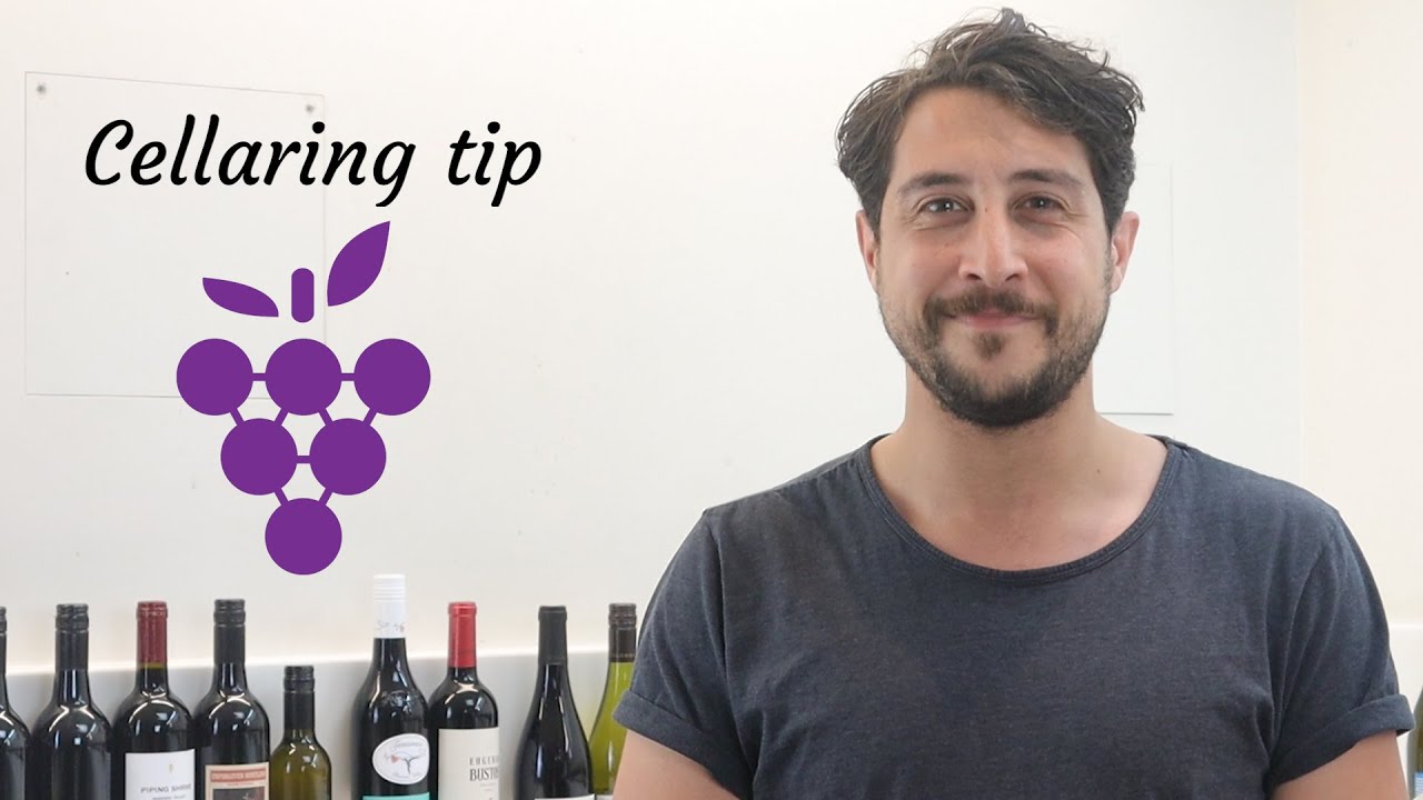 Wine Education Cellaring Wine YouTube