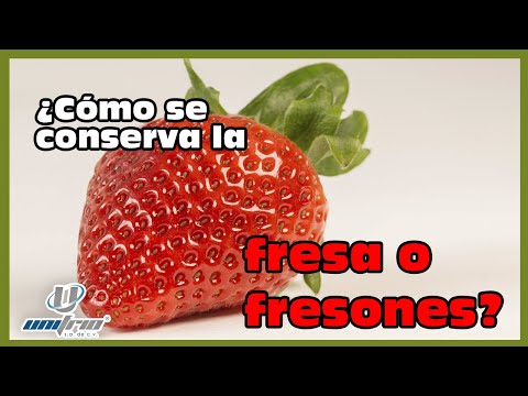 Video: Refrigeración de las plantas de fresas: información sobre los requisitos de refrigeración de las fresas