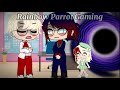  daddy why are shouting at mommy  meme  au  gabenath rainbow parrot gaming