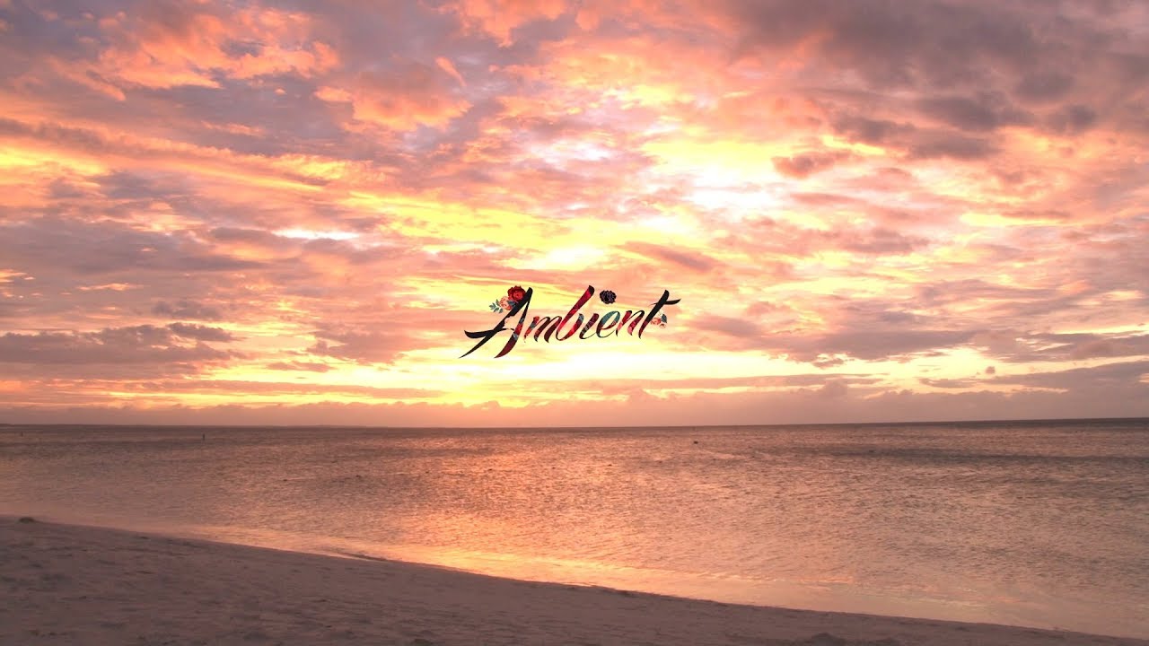 在 YouTube 上觀看「Cash - Aether」 在 YouTube 上觀看「Cash - Aether」