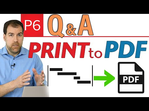 How to effectively export a P6 schedule to PDF