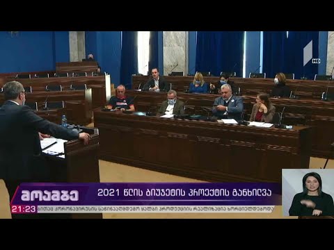 2021 წლის ბიუჯეტის პროექტის განხილვა