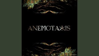 Anemotaxis