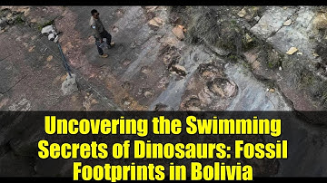 Uncovering the Swimming Secrets of Dinosaurs: Fossil Footprints in Bolivia
