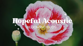 Morning Chill Vibes  Acoustic Songs for Good Mood