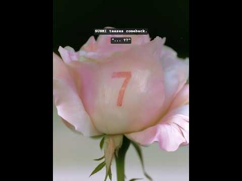 SUNMI teases comeback."... 7?"