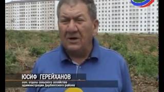 Новости Дербентского района: появились новые подробности земельного конфликта