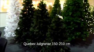 Star Trading Julgranar Quebec