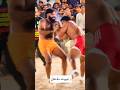 Rajpoot 🆚 Mughal Best Kabaddi 2026
