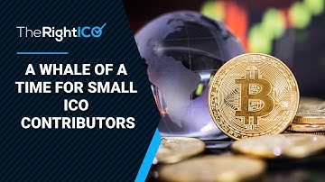 ICO POOL – A WHALE OF A TIME FOR SMALL ICO CONTRIBUTORS