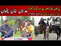 The most beautiful Pakistani horse || Adnan khan stud farm || Desi horse || Pakistani horse farm