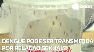 Entenda se a dengue pode ser transmitida por relação sexual