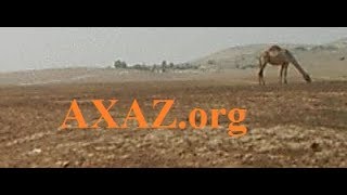 419. Для стеснительных. Настоящее время биньяна hИФЪИЛЬ, основная подгруппа 419. Для стеснительных. Настоящее время биньяна hИФЪИЛЬ, основная подгруппа