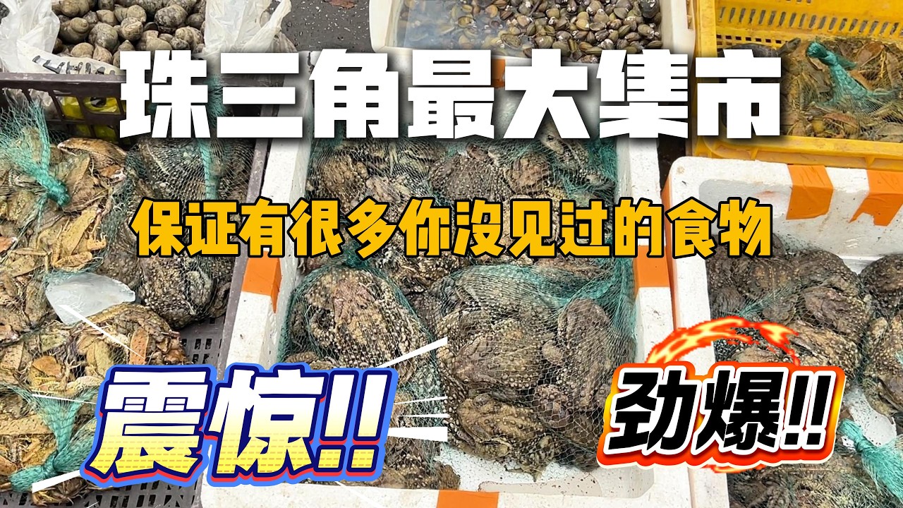 🔥🔥我被震撼了！珠三角最大集市人山人海｜百斤鳄鱼肉现场曝光🔥🔥