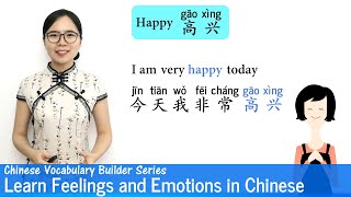 Learn Feelings & Emotions in Chinese | Vocab Lesson 18 | Chinese Vocabulary Series