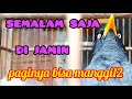 satu malam saja di jamin paginya gacor ngomong