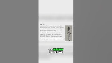 The Hidden Role of Fascia in Movement and Stability