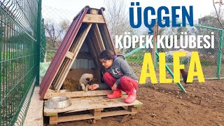 Köpeğimiz Alfa için Üçgen Ev Gibi  Köpek Kulübesi