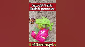 वैशाख महीने में पार्थिक शिवलिंग के पूजन का महत्व#pradeepmishra #shiv #SanskariBeti23