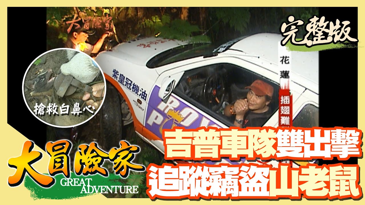 【大冒險家】吉普衝鋒車隊 海岸山脈山老鼠追緝令（沈文程開車掉入陷阱／解救白鼻心／拆除捕獸器 放走受困山豬）│2005.07.11│286集完整版