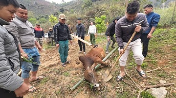 Ngày đặc biệt trên vùng cao | Nhịp Sống Tây Bắc