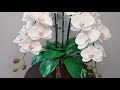 montagem da orquídea com toque de realismo parte 2
