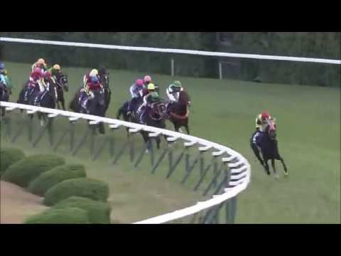 競馬 ラッキーライラック セット 第44回エリザベス女王杯 未使用 タグつき 第44回【エリザベス女王杯】ラッキーライラック - YouTube