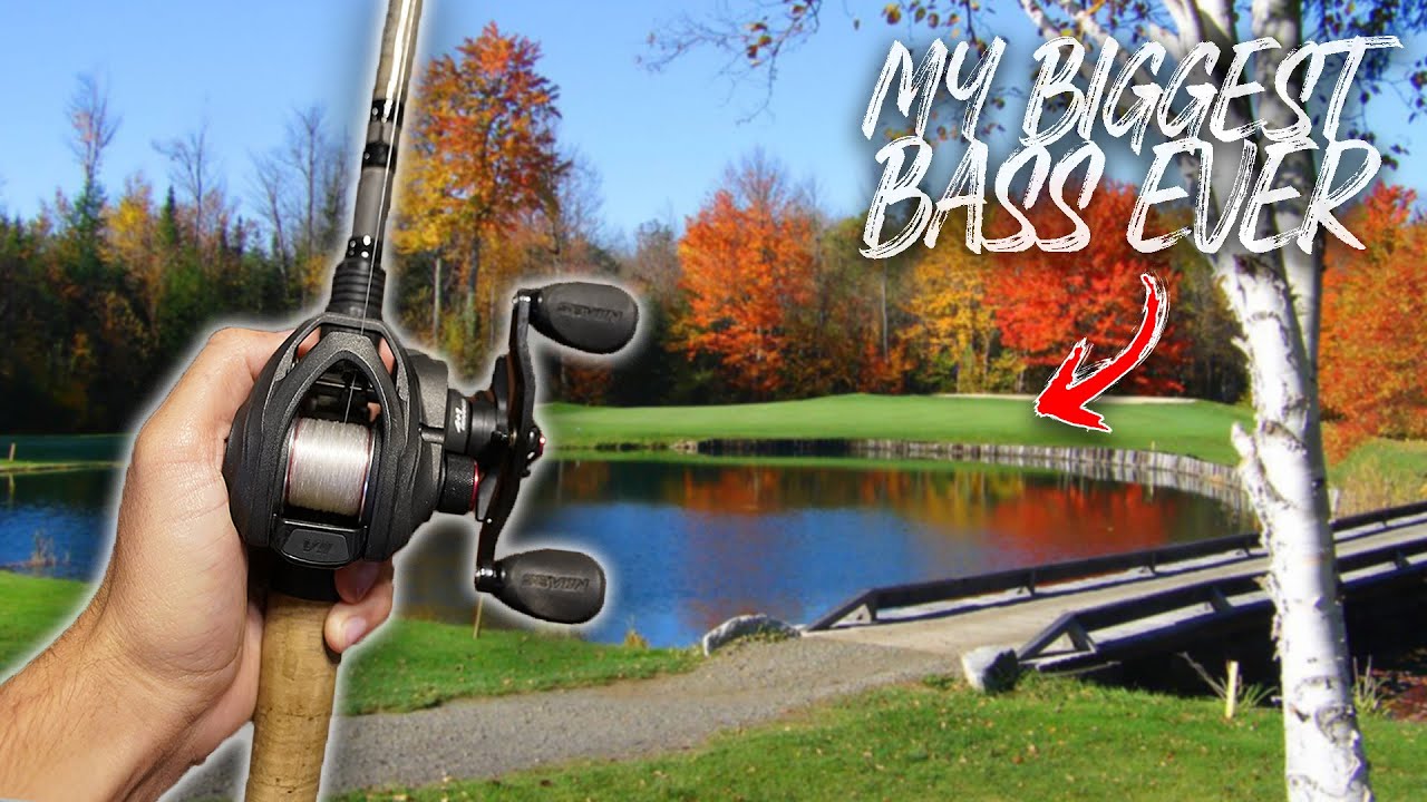 The BIGGEST Bass of My Life on my SECOND CAST?! (UNREAL)