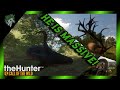 MONSTER DIAMOND RED DEER AND WILDEBEEST! Stream Highlights #13 | TheHunter Call Of The Wild
