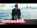 Elif Cuarta Temporada Capítulo 845 Elif Capítulo 845 Elif Cuarta Temporada Capítulo 845 Elif Capítulo 845