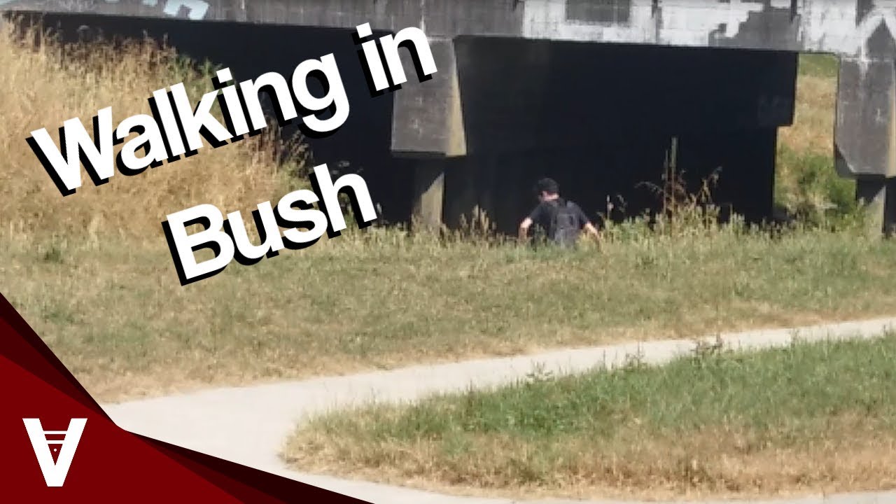 If You Go Into The Bush We go into the Bush - YouTube