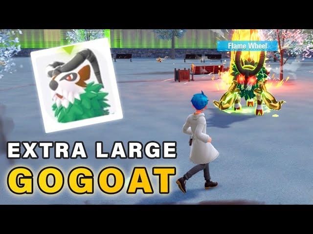 How to Get An Extra Large Gogoat | Side Quest Guide ▻ Pokemon