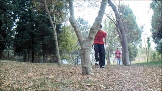 Dive roll ( fail )