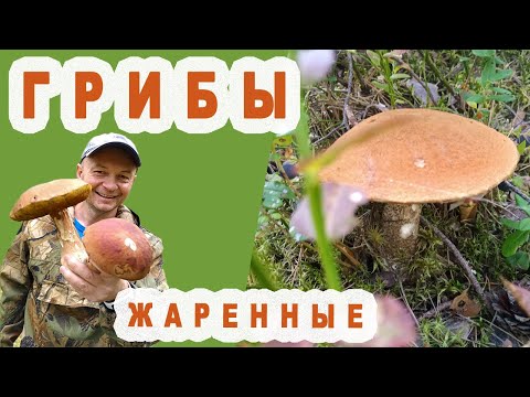 Жареные Грибы  [ Подосиновики ]  Очень вкусно