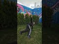 bboy muro #dance #bbreak #powerdance #hiphop #viral #dancer #freestyleflow #freestyle #bboy #shorts