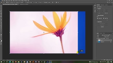 How to Fit picture to Canvas in Photoshop? (Control + T, Workaround)
