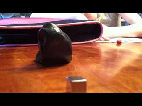 silly putty monster!