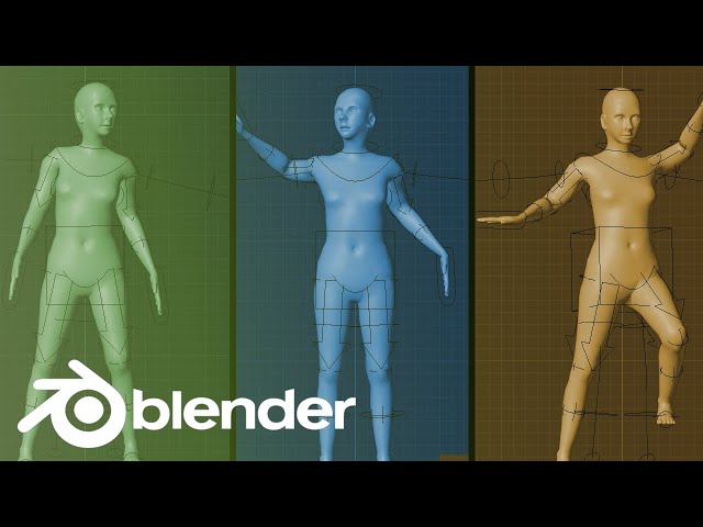 Tutorial: Human Meta Rig - Blender - YouTube