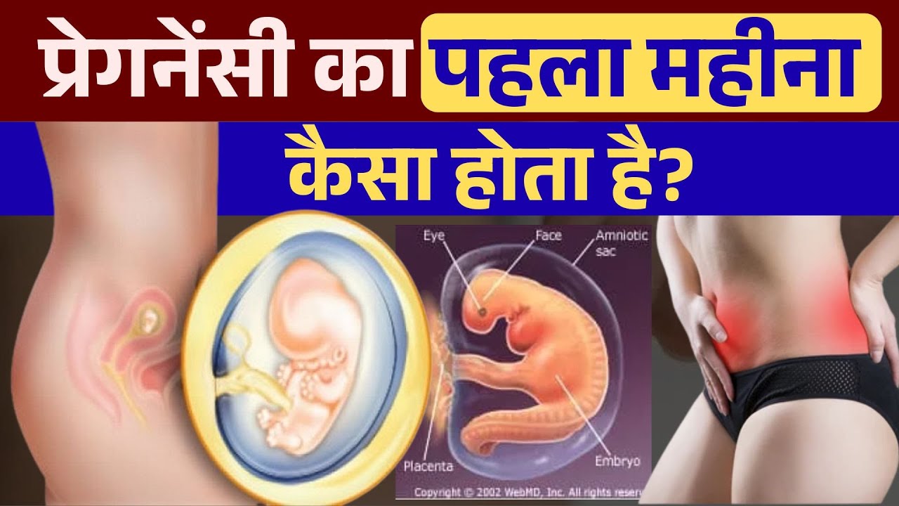 प्रेगनेंसी का पहला महीना कैसा होता है | प्रेगनेंसी के पहले महीने के लक्षण | Baby Growth 1st Month