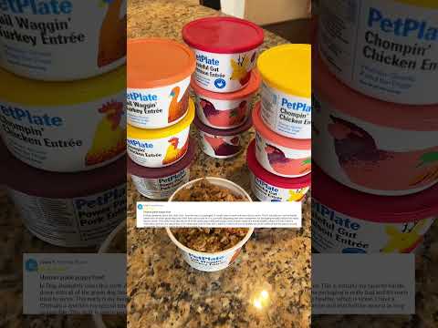 PetPlate YouTube ad thumbnail
