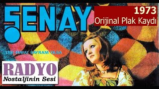 Şenay - Hayat Bayram Olsa (1973) Resimi