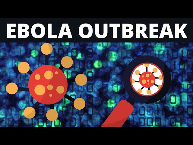 The Ebola Virus Outbreak class=