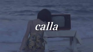 calla - wave to earth (lyrics) Resimi